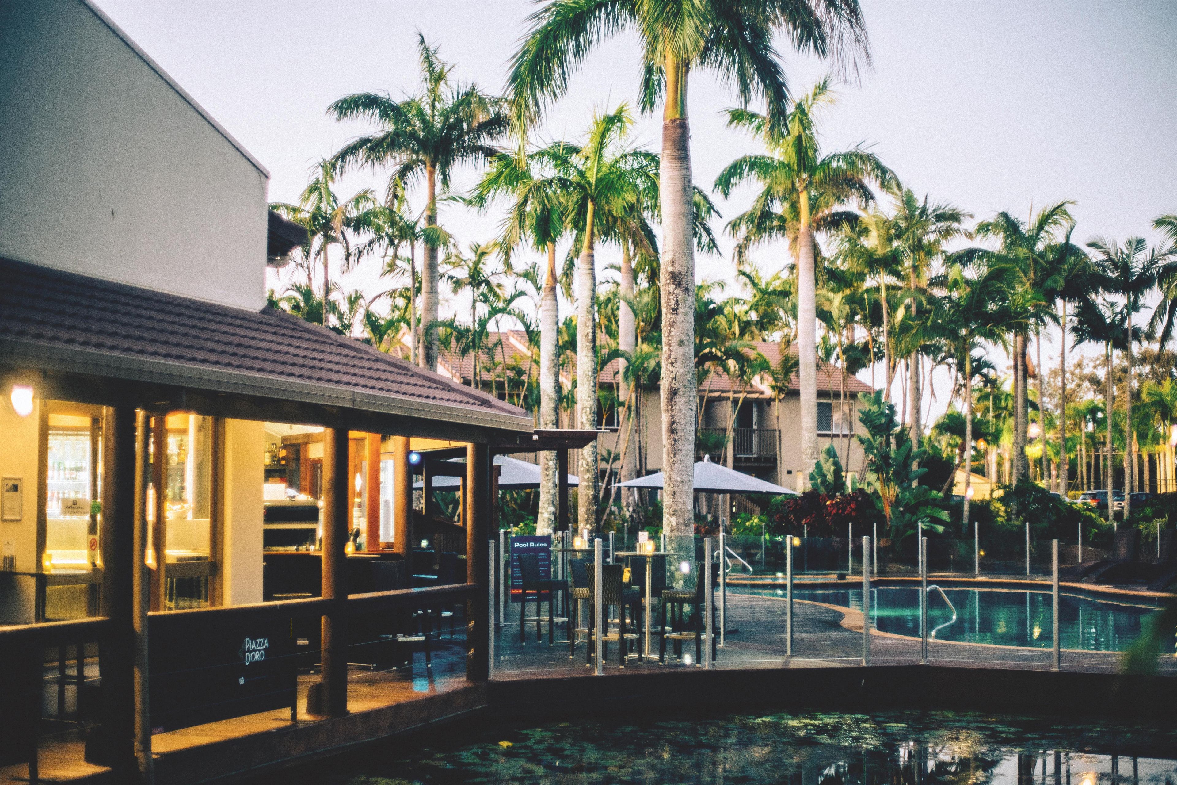 Ein Poolbereich mit Bar, Liegestühlen und Palmen.