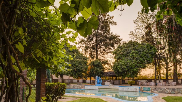 Un giardino con una fontana, un muro in mattoni e un grande albero.