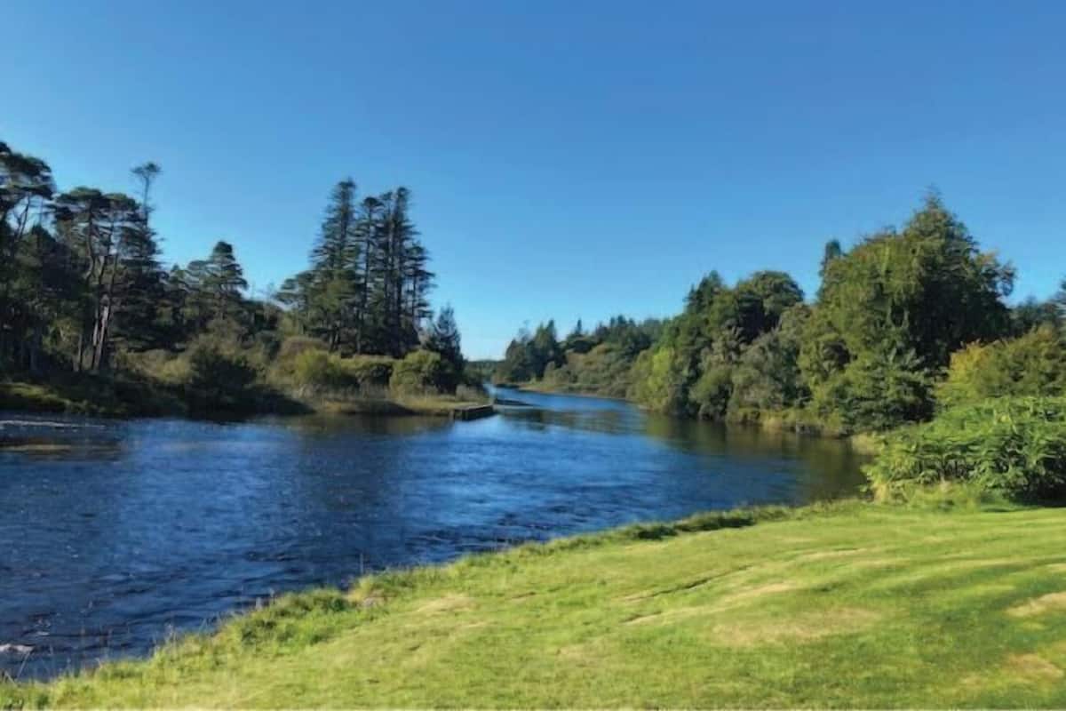 Un río flanqueado por árboles densos, una orilla cubierta de hierba y un cielo azul despejado.