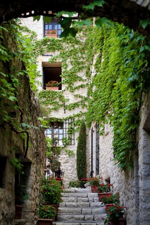 Un escalier en pierre mène à un bâtiment dont les murs sont recouverts de lierre et qui possède de nombreuses fenêtres.