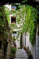 A stone staircase leading to a building with ivy-covered walls and multiple windows.