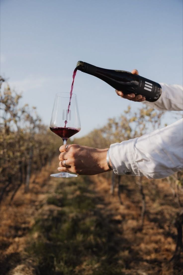 Vineyard