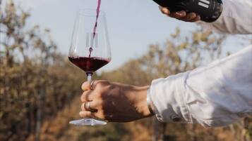 Vineyard