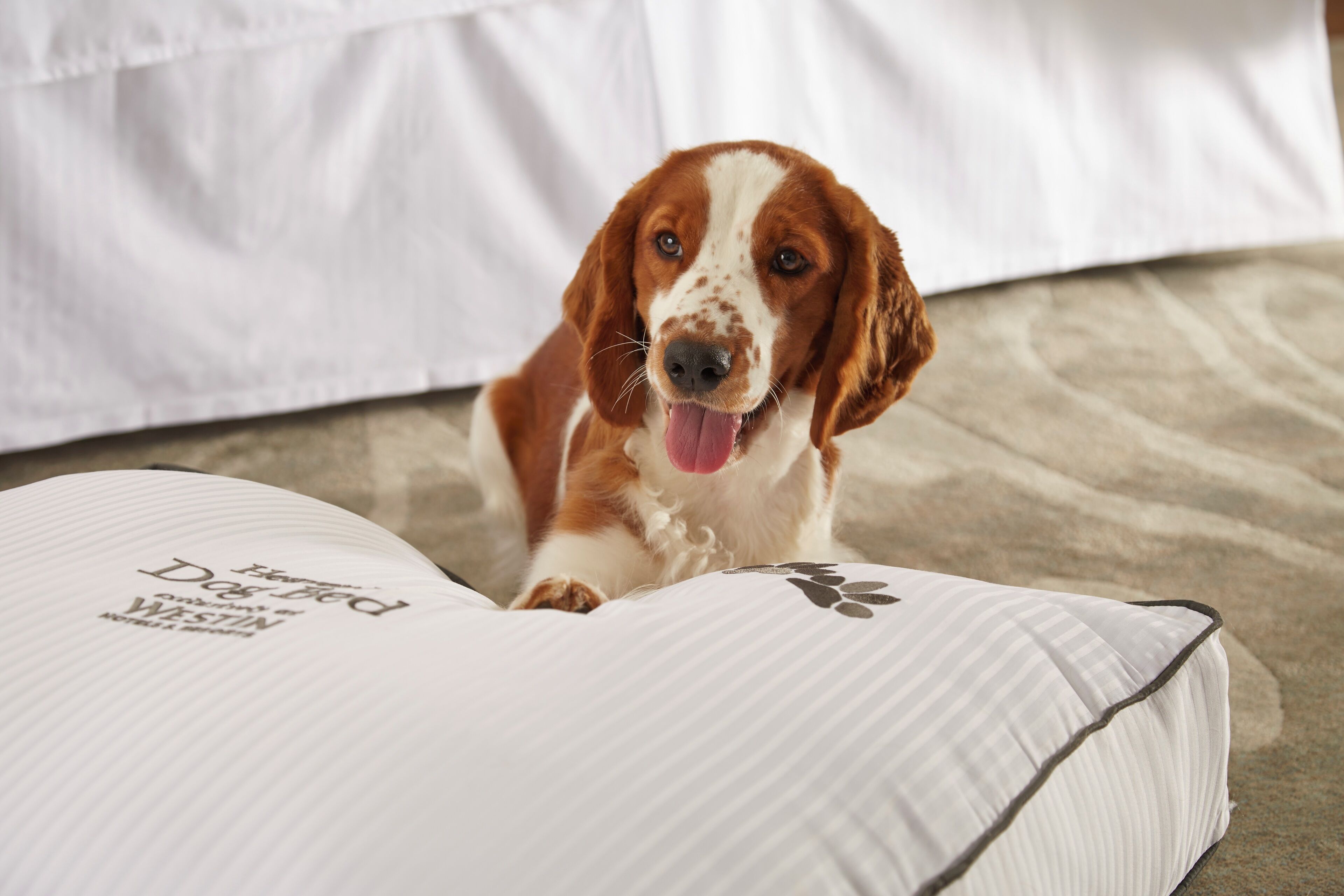 suite, 2 bedrooms, fireplace | premium bedding, pillow-top beds, in-room safe, desk