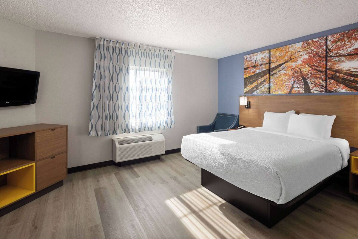 A hotel room with a bed, a TV, a window with patterned curtains, and a painting of trees.