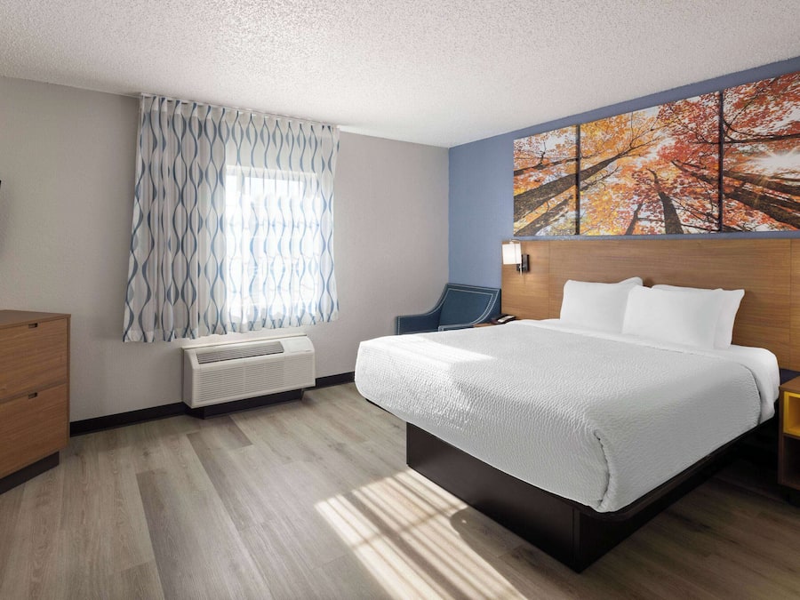 A hotel room with a bed, a TV, a window with patterned curtains, and a painting of trees.