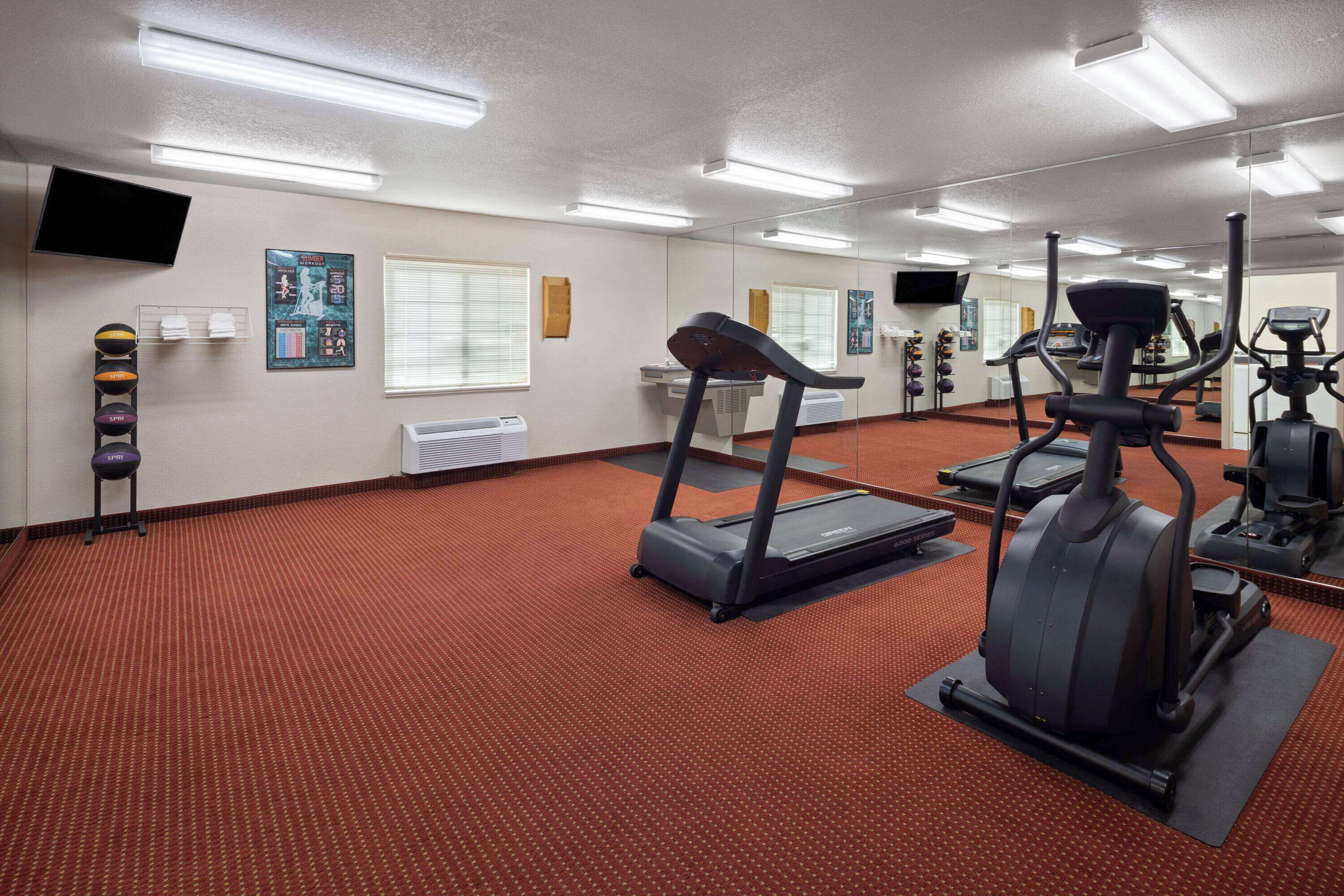 A gym with treadmills, elliptical machines, and free weights.