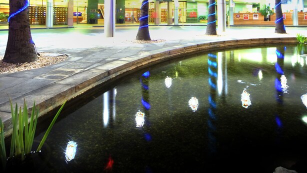 A modern building with a reflective pool and palm trees. - Stamford Plaza Sydney Airport Hotel & Conference Centre (Sydney)