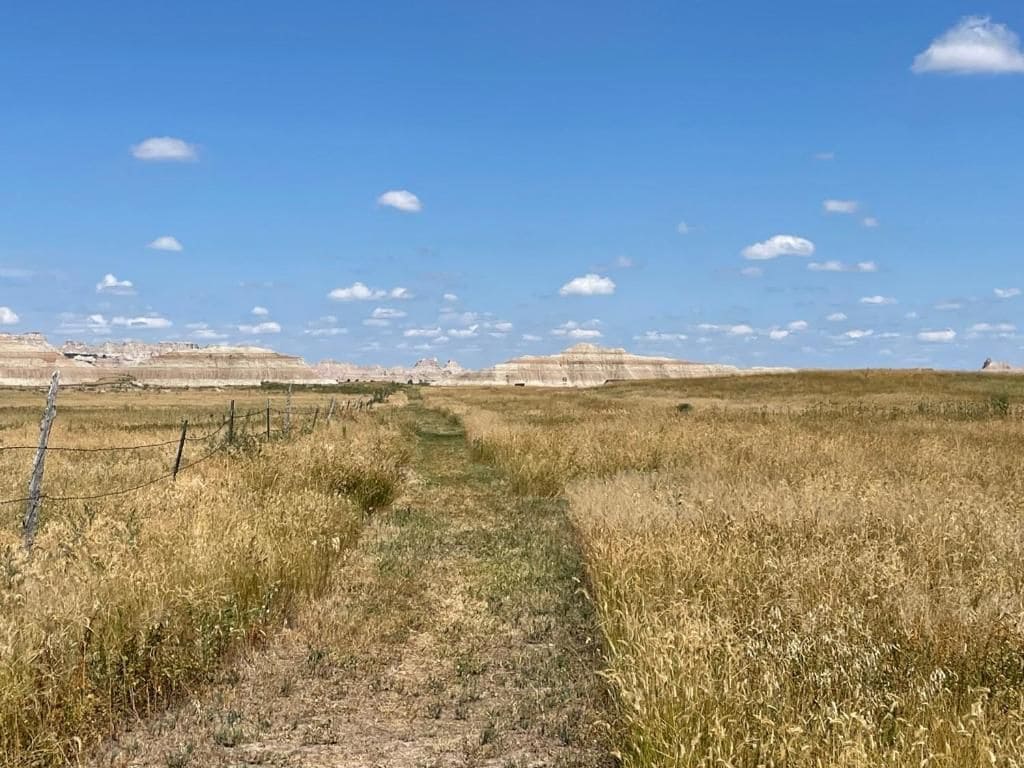 Paisaje rural con un sendero de tierra que atraviesa un campo, bordeado por una cerca.