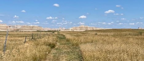 Paisaje rural con un sendero de tierra que atraviesa un campo, bordeado por una cerca.