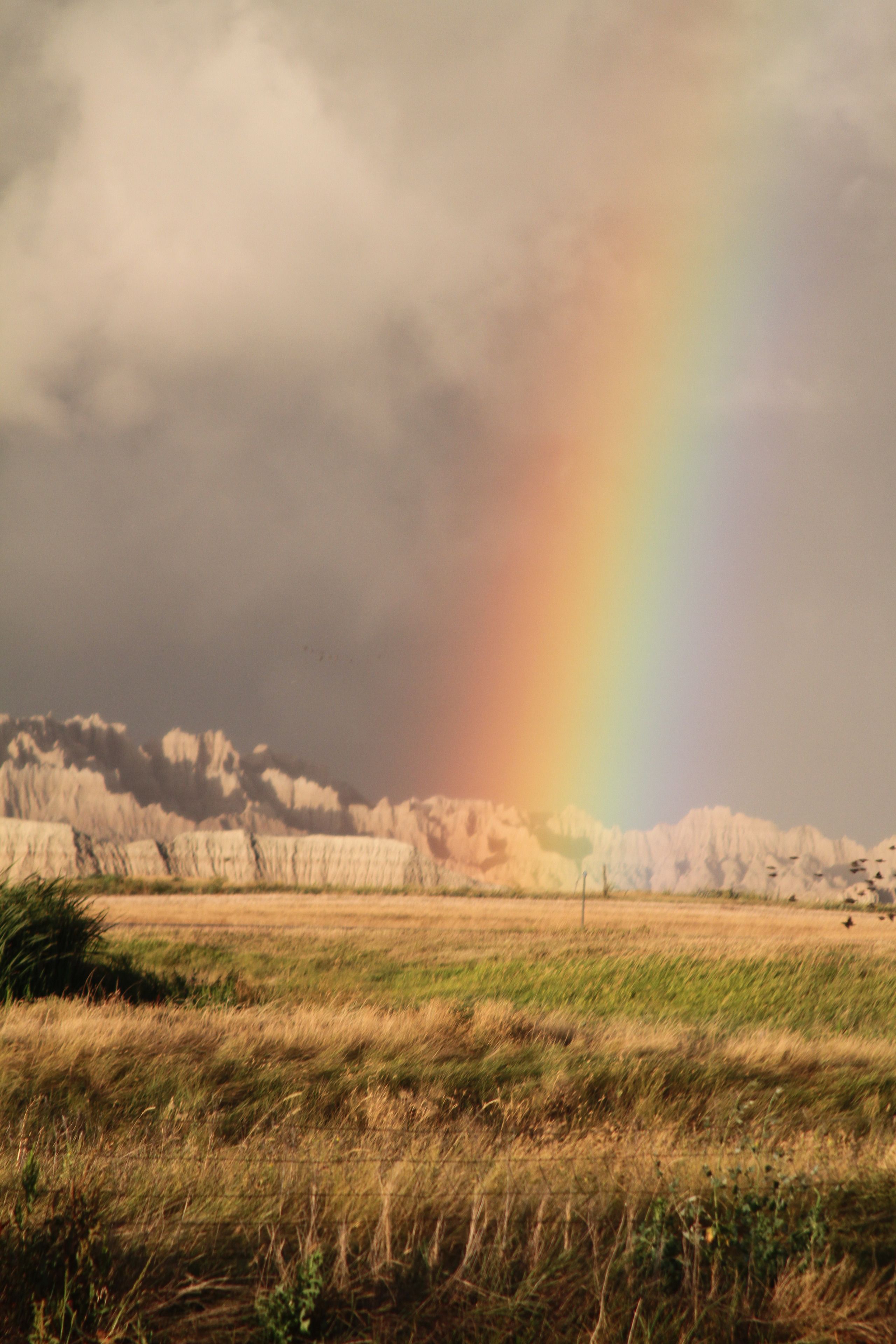 A field with a rainbow and a mountain range in the background.
