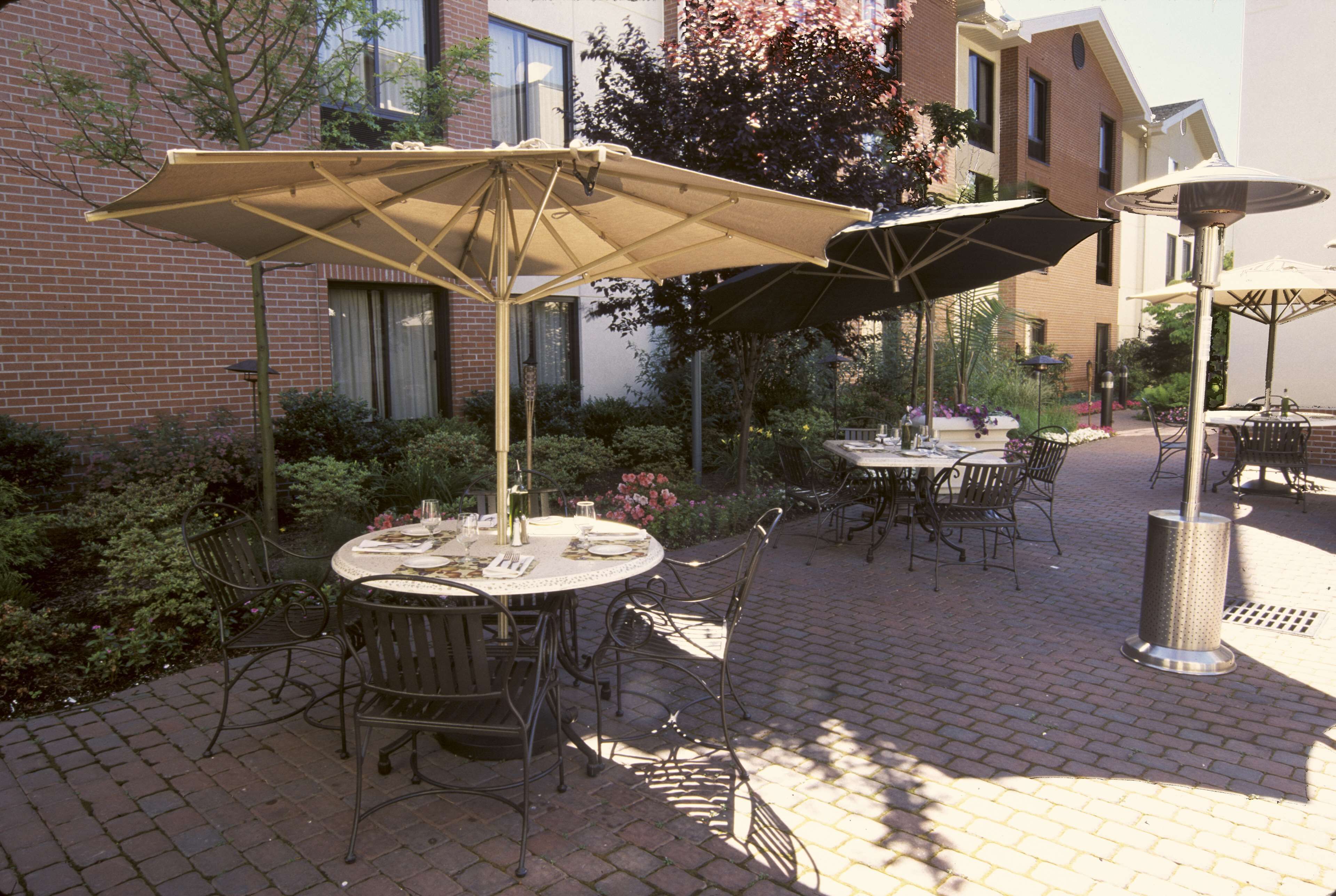 lunch and dinner served, italian cuisine