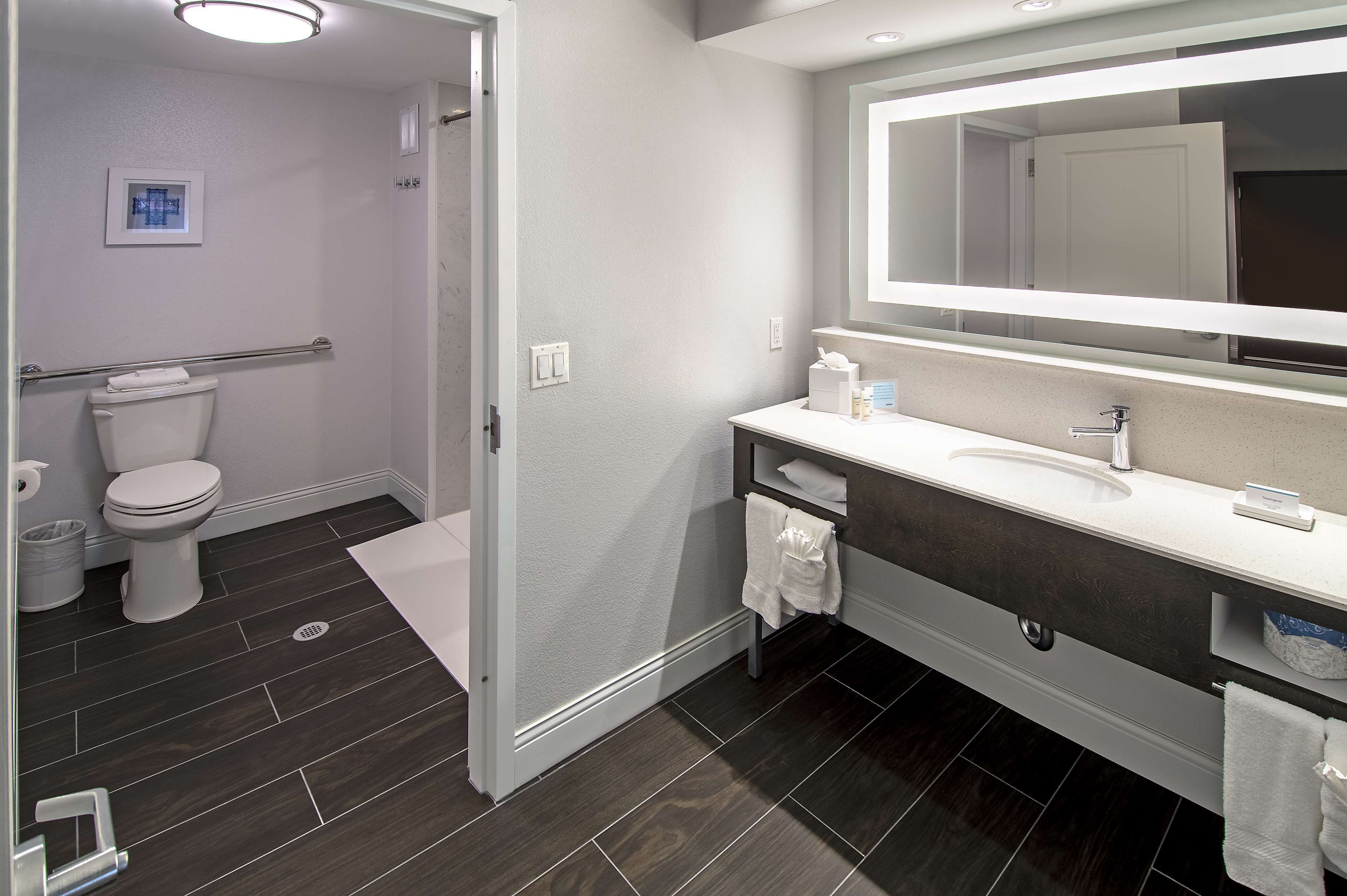 suite, 1 king bed, accessible, non smoking | bathroom | shower, free toiletries, hair dryer, towels