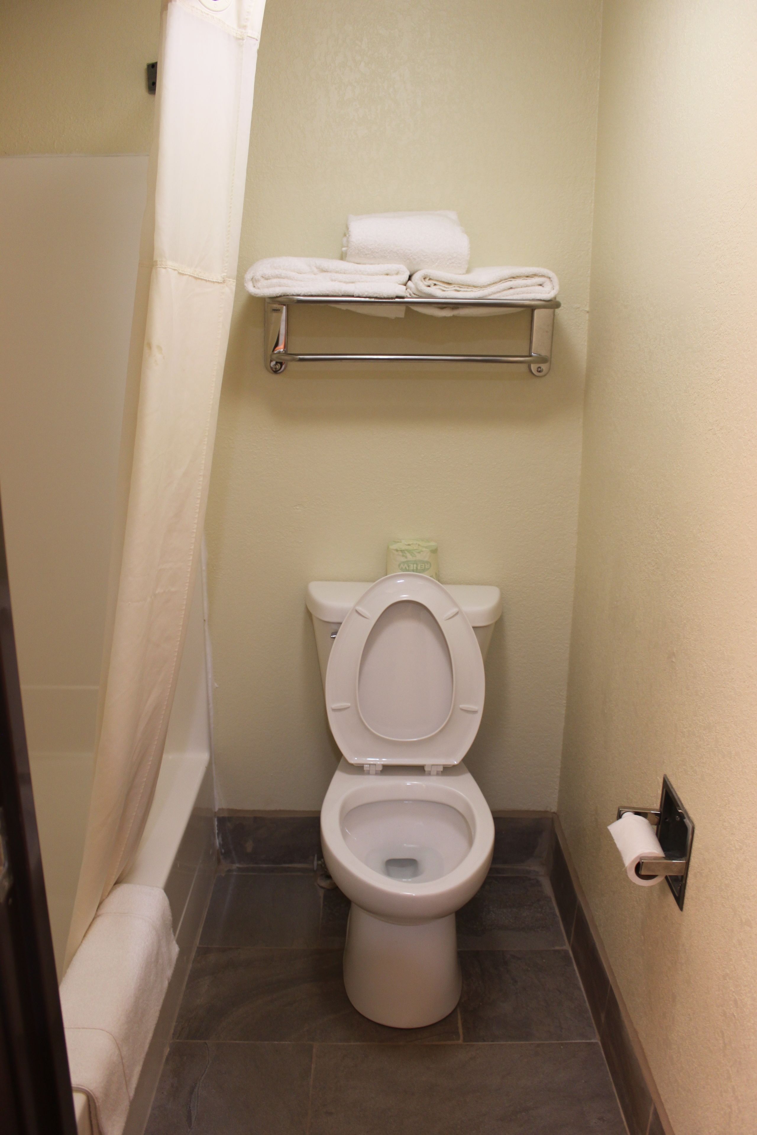 A small bathroom with a toilet, a towel rack, and a shower curtain.