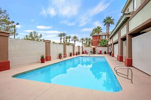 Outdoor pool, sun loungers