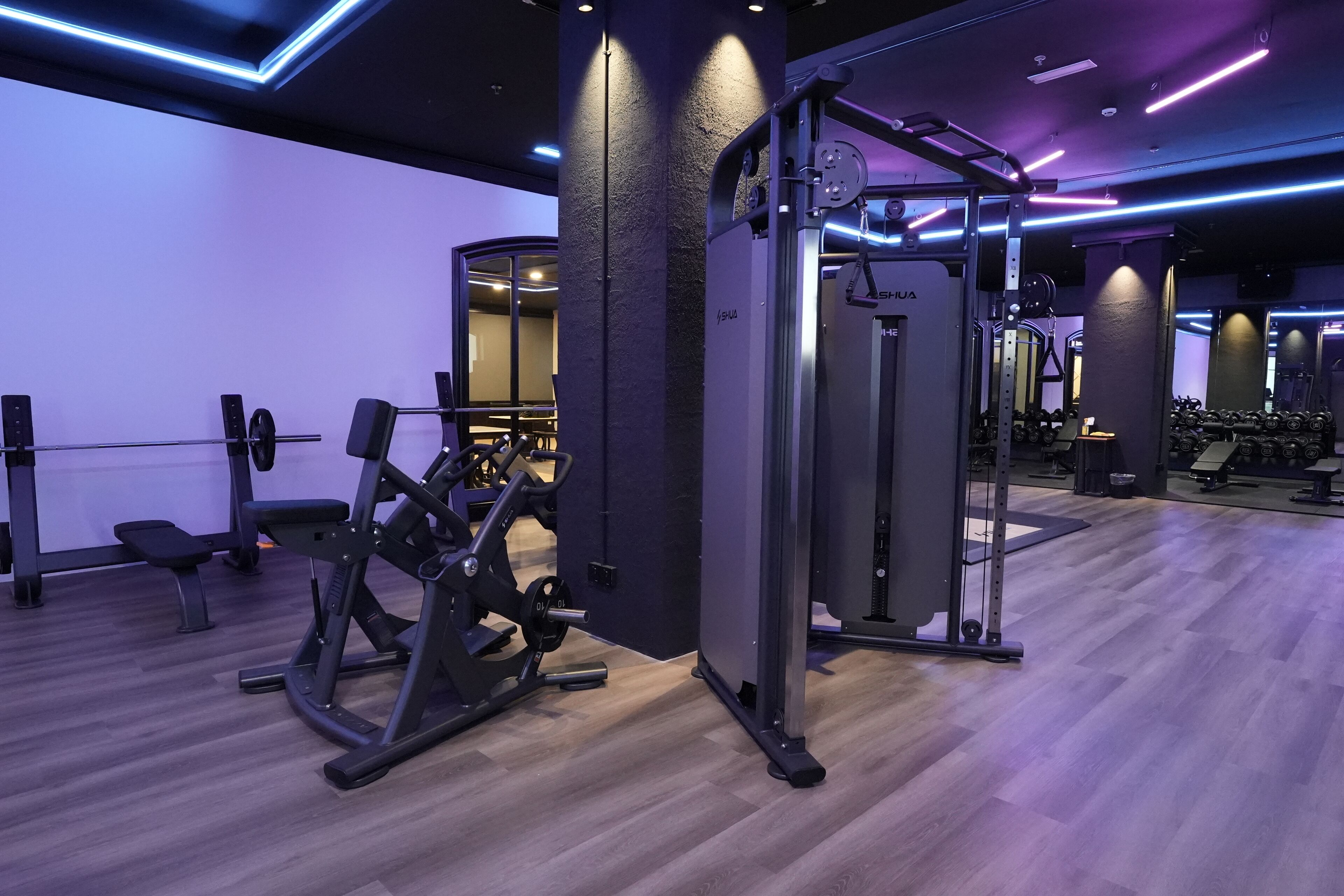 Une salle de sport moderne équipée de divers appareils d’exercice, notamment un support à squats et des bancs de musculation.