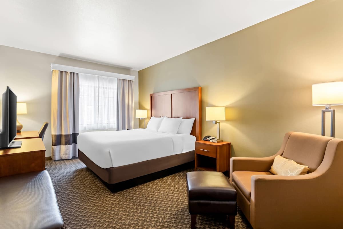 Standard Room, 1 King Bed, Non Smoking | Premium bedding, in-room safe, desk, laptop workspace