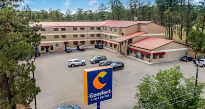 Comfort Inn & Suites Midtown