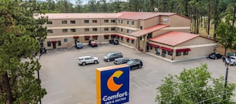 Comfort Inn & Suites Midtown
