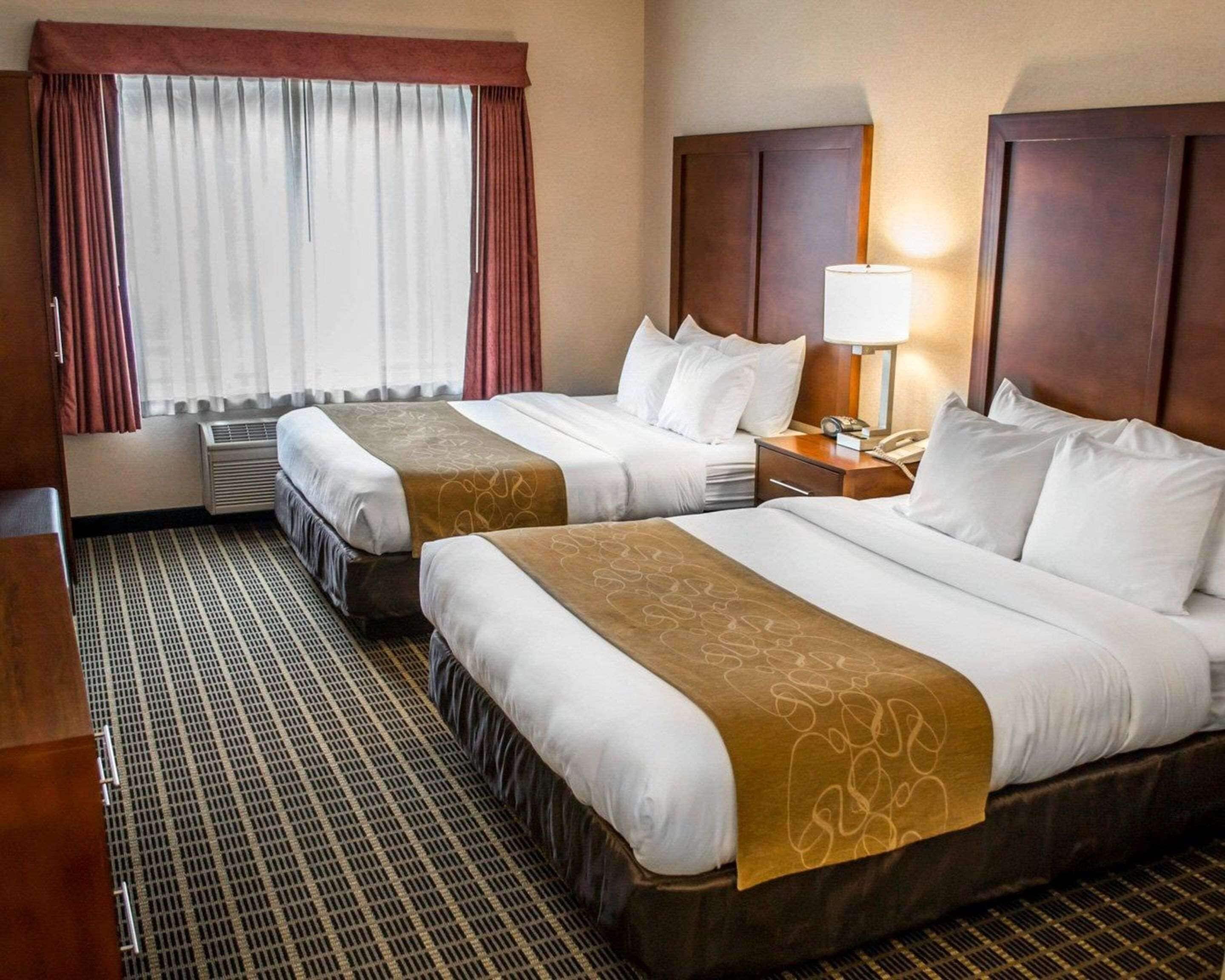 suite, 2 queen beds, non smoking | premium bedding, desk, iron/ironing board, free cots/infant beds