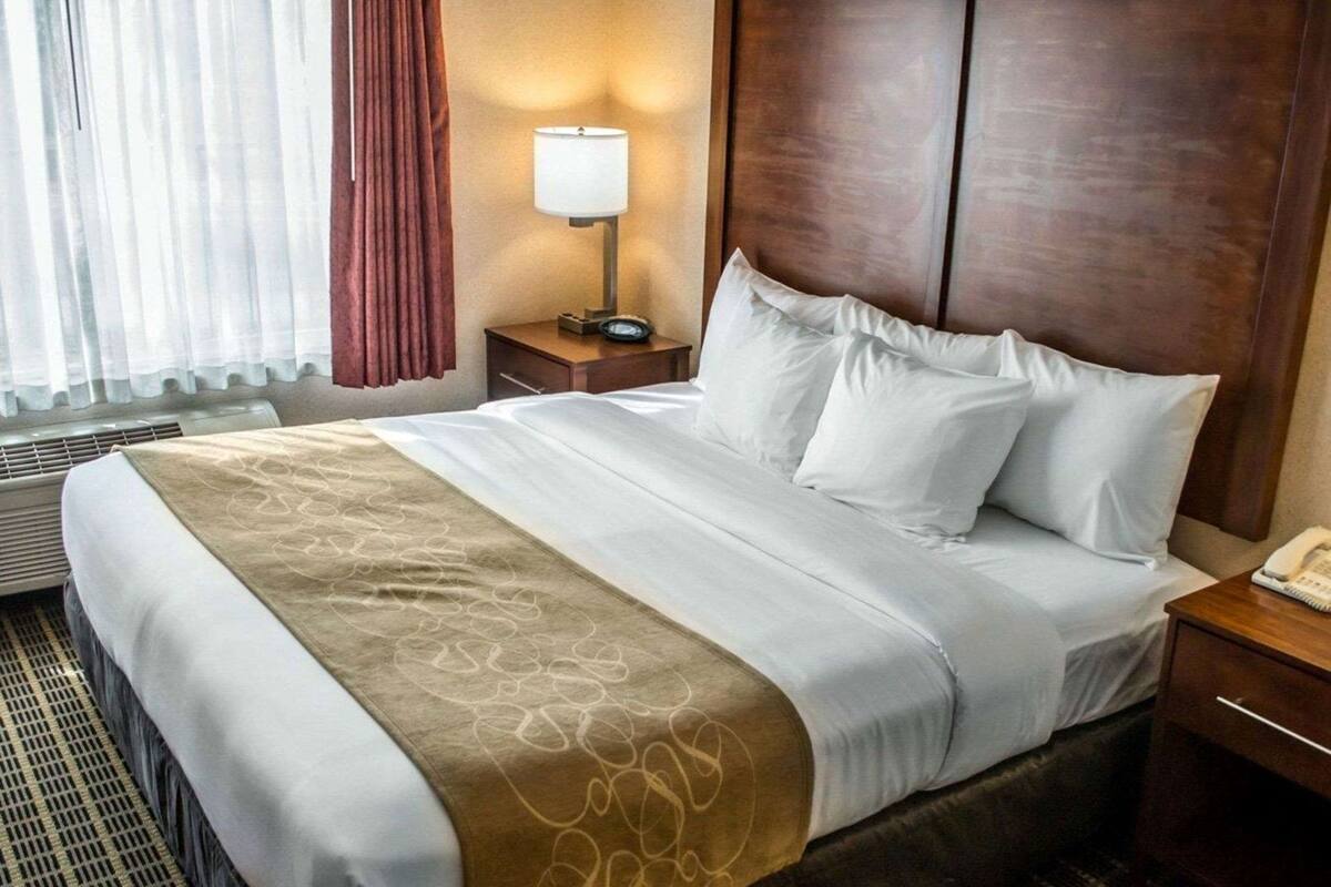 Camera d'albergo con un letto grande, un comodino con una lampada, un telefono e una finestra con tende.