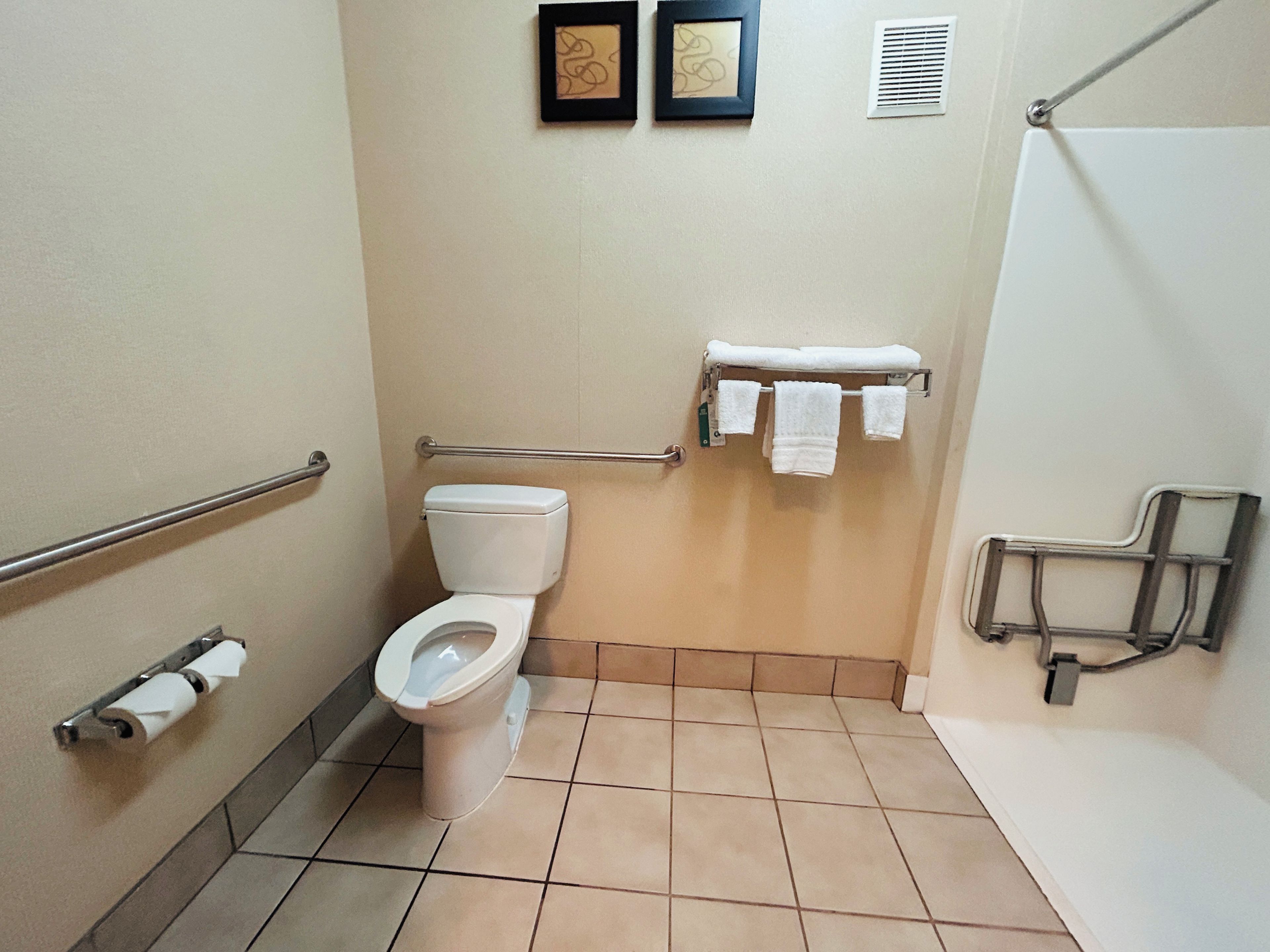 A bathroom with a toilet, handrails, a towel rack, and a shower area.