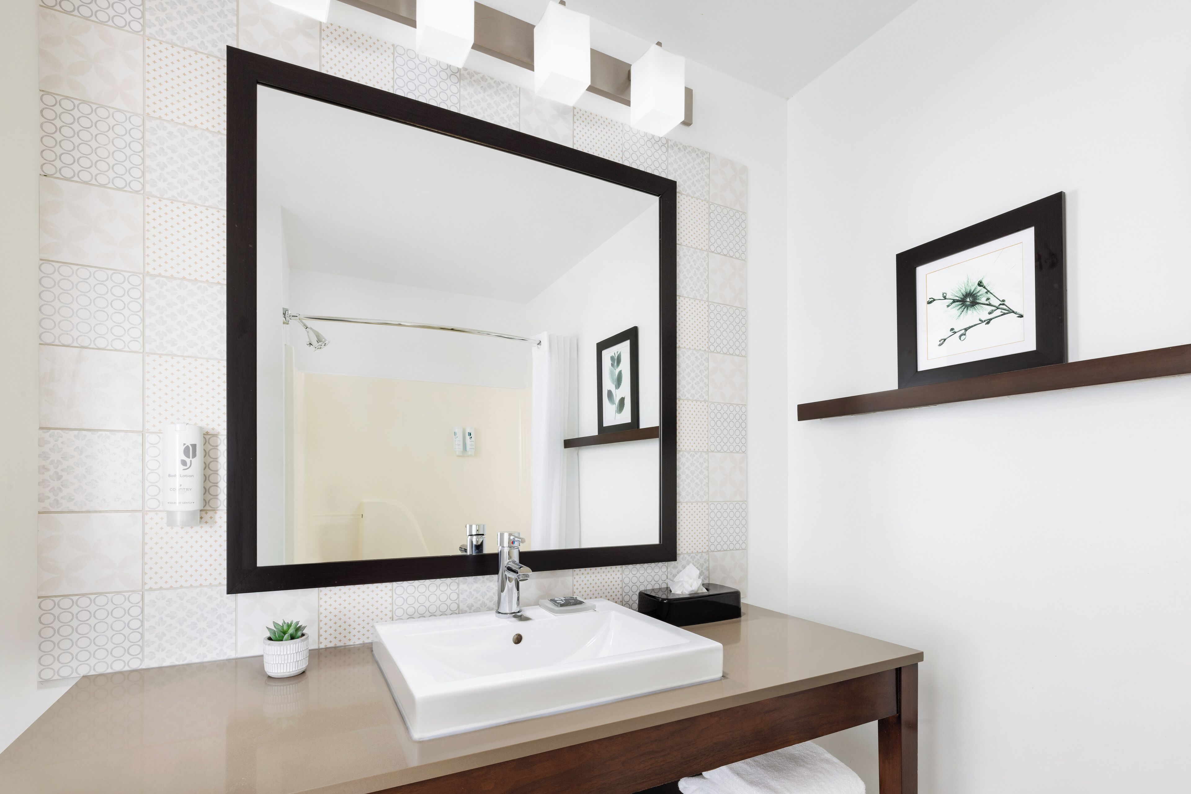 combined shower/bathtub, free toiletries, hair dryer, towels