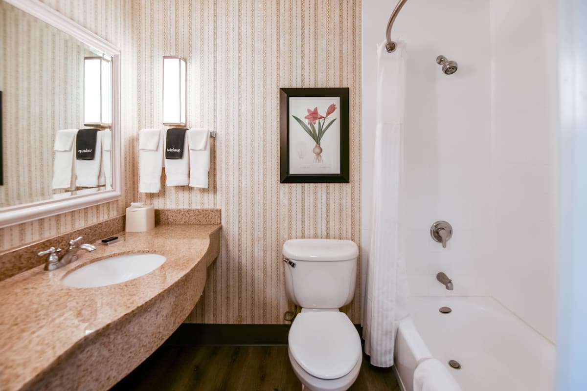 combined shower/bathtub, free toiletries, hair dryer, towels