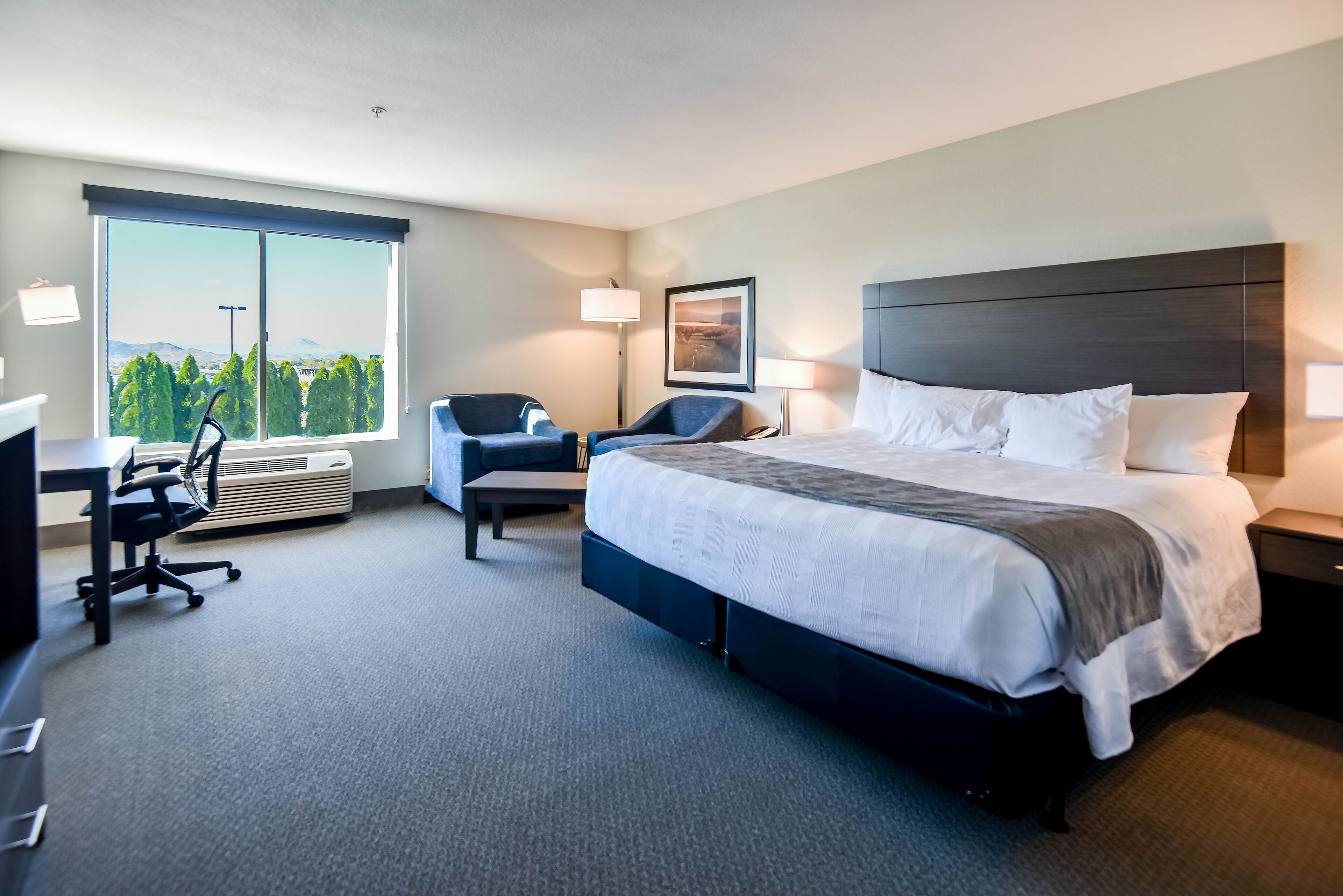 A hotel room with a large bed, a desk with a chair, a standing lamp, and a window with a view of trees and mountains.