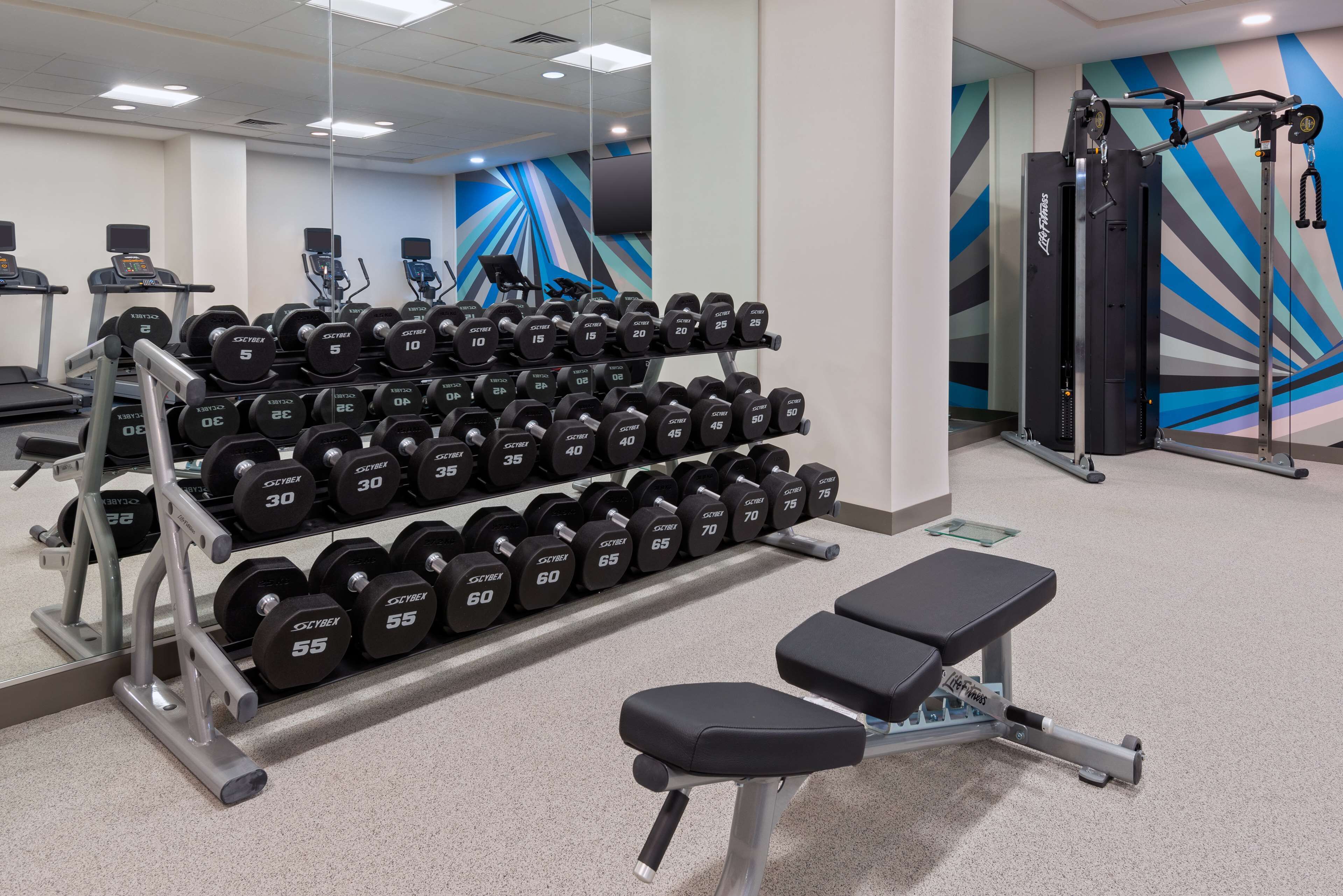 Un gimnasio con banco, mancuernas y equipo de ejercicio.