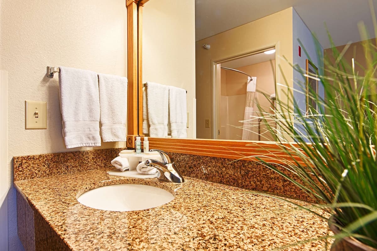 Suihkun ja ammeen yhdistelmä, ilmaiset hygieniatuotteet, hiustenkuivaaja