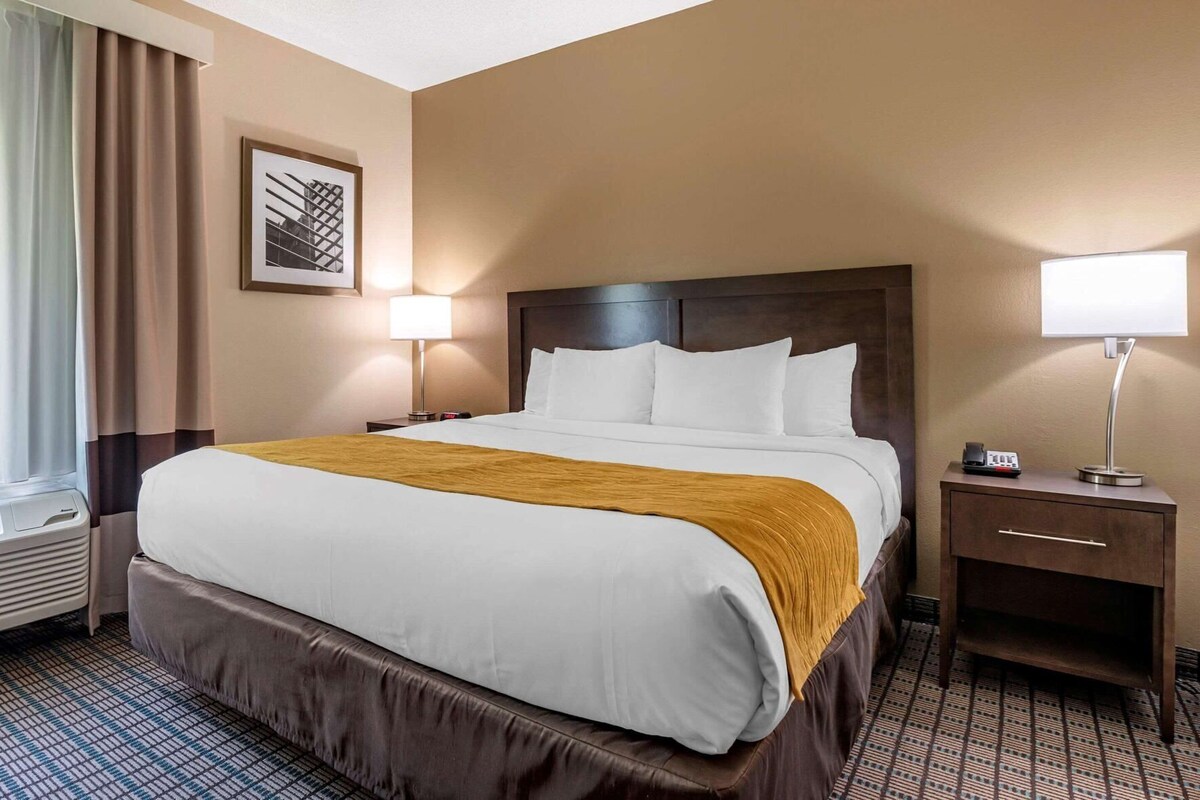 A hotel room with a large bed, bedside tables, a lamp, and a framed picture on the wall.