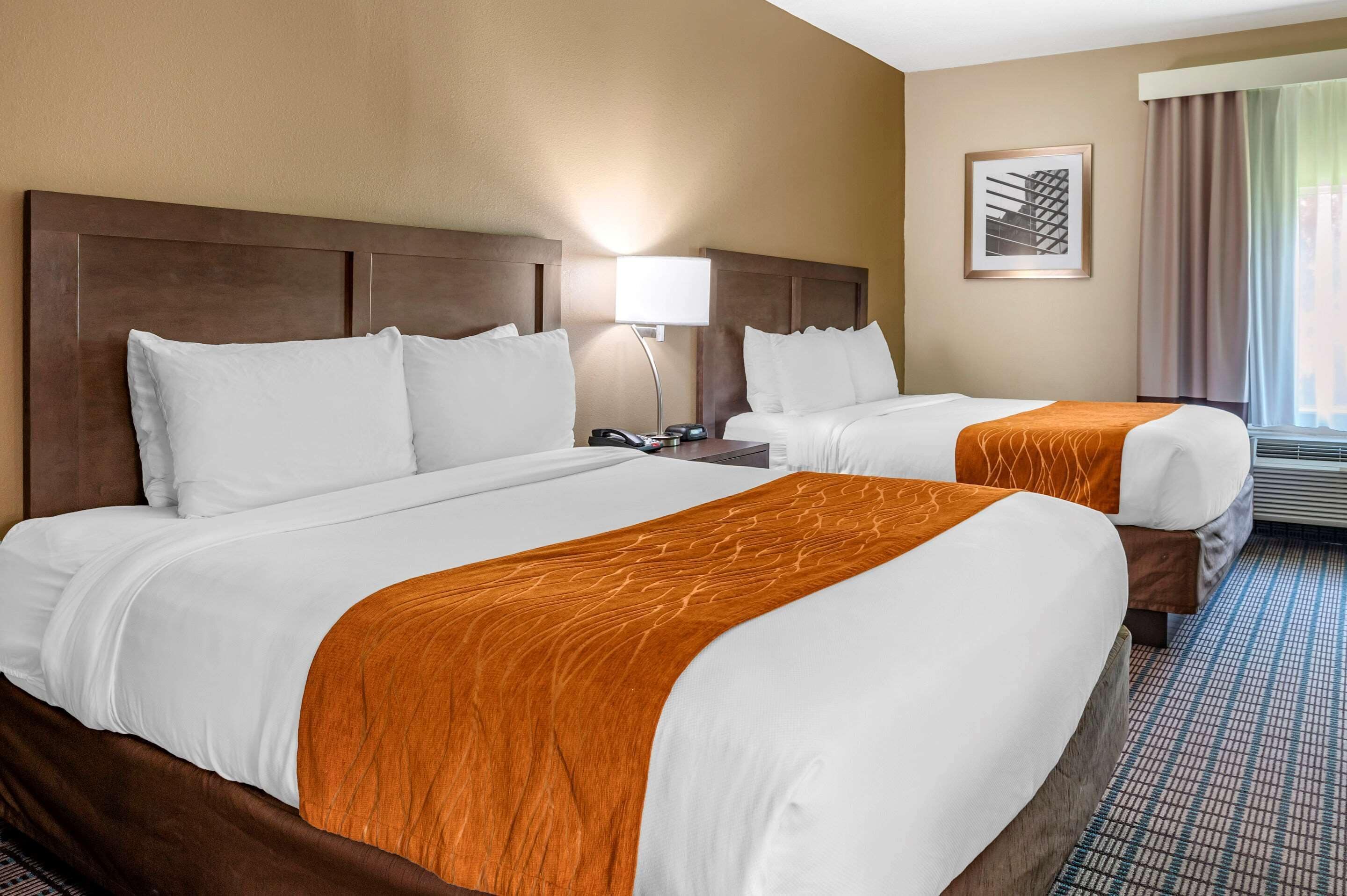 Photo - Comfort Inn & Suites Cincinnati Uptown Clifton
