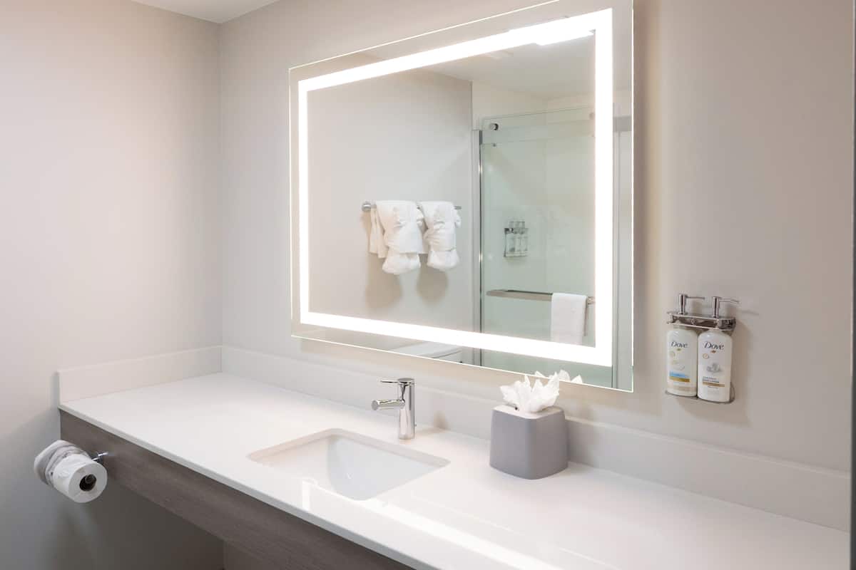 Combined shower/bathtub, deep-soaking bathtub, free toiletries