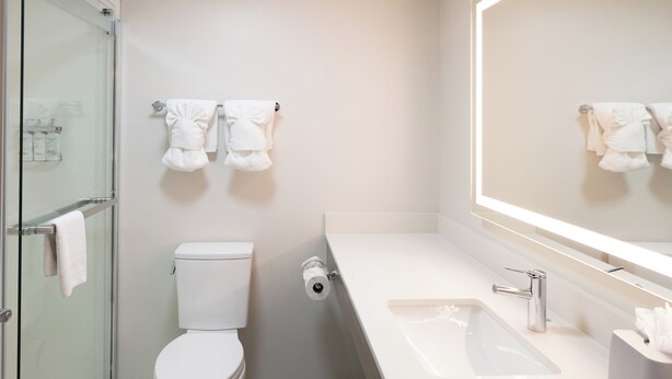 A modern bathroom with a glass shower enclosure, a white toilet, a large mirror, and a white sink with a chrome faucet. - Holiday Inn Express Hotel & Suites Mt. Holly by IHG (Mount Holly)
