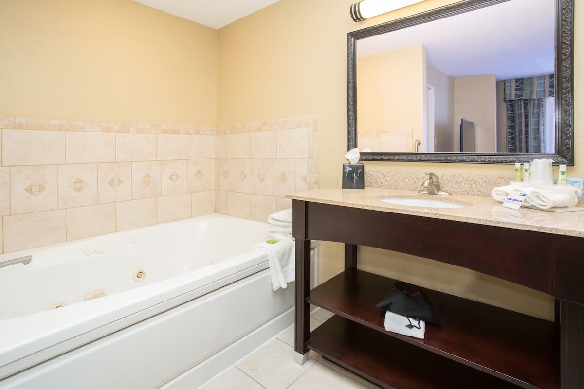 combined shower/bathtub, free toiletries, hair dryer, towels
