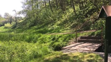 Hiking