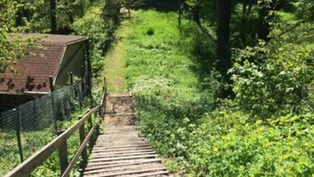 A wooden staircase leading into a forested area with a fence on one side. - Landhotel Dresden (Dresden)