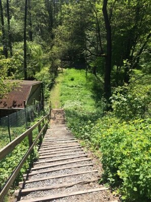A wooden staircase leading into a forested area with a fence on one side. - Landhotel Dresden (Dresden)