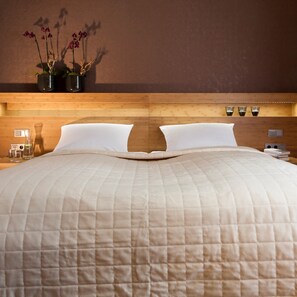 Double Room Single Use