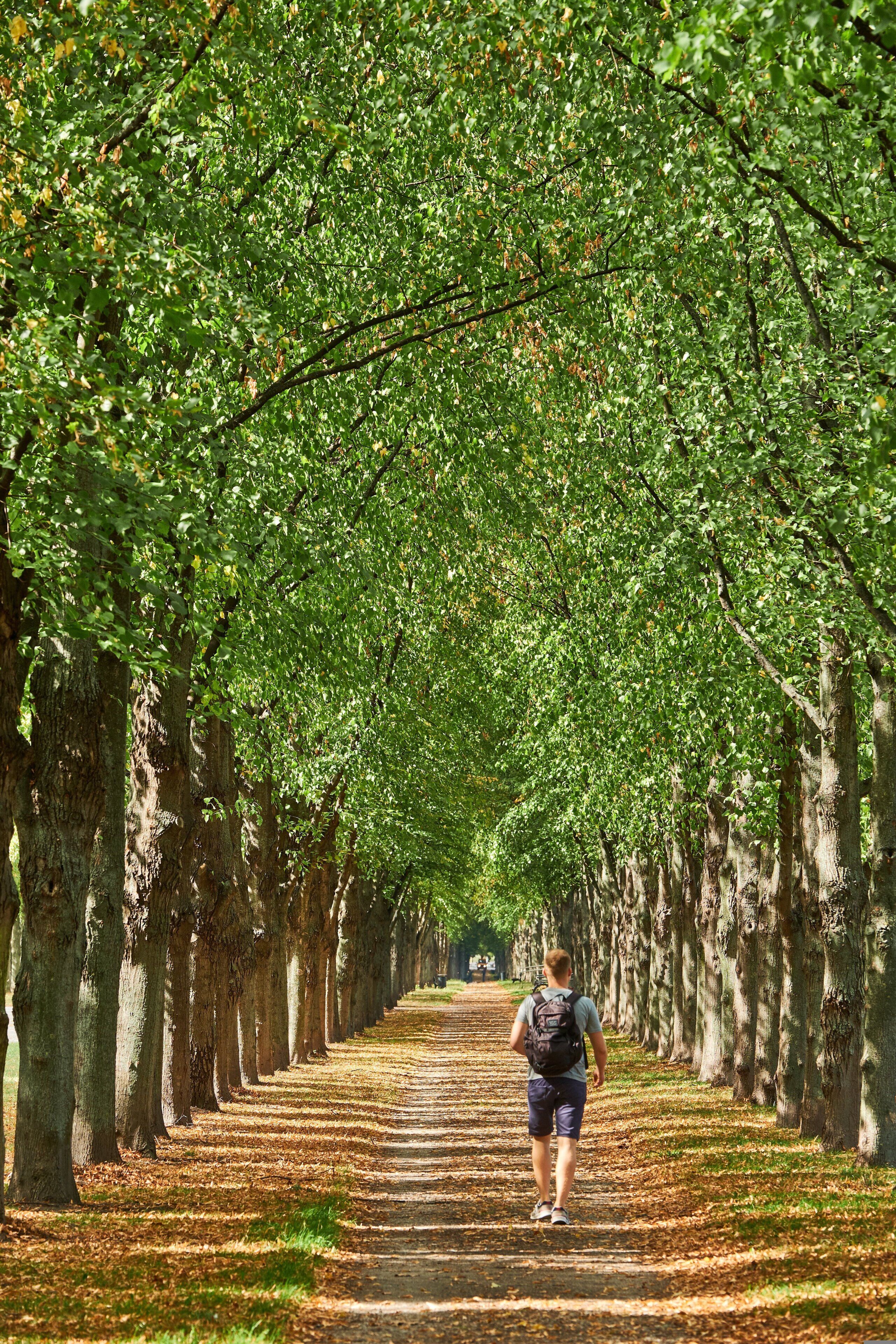 Foto - Plaza Hannover