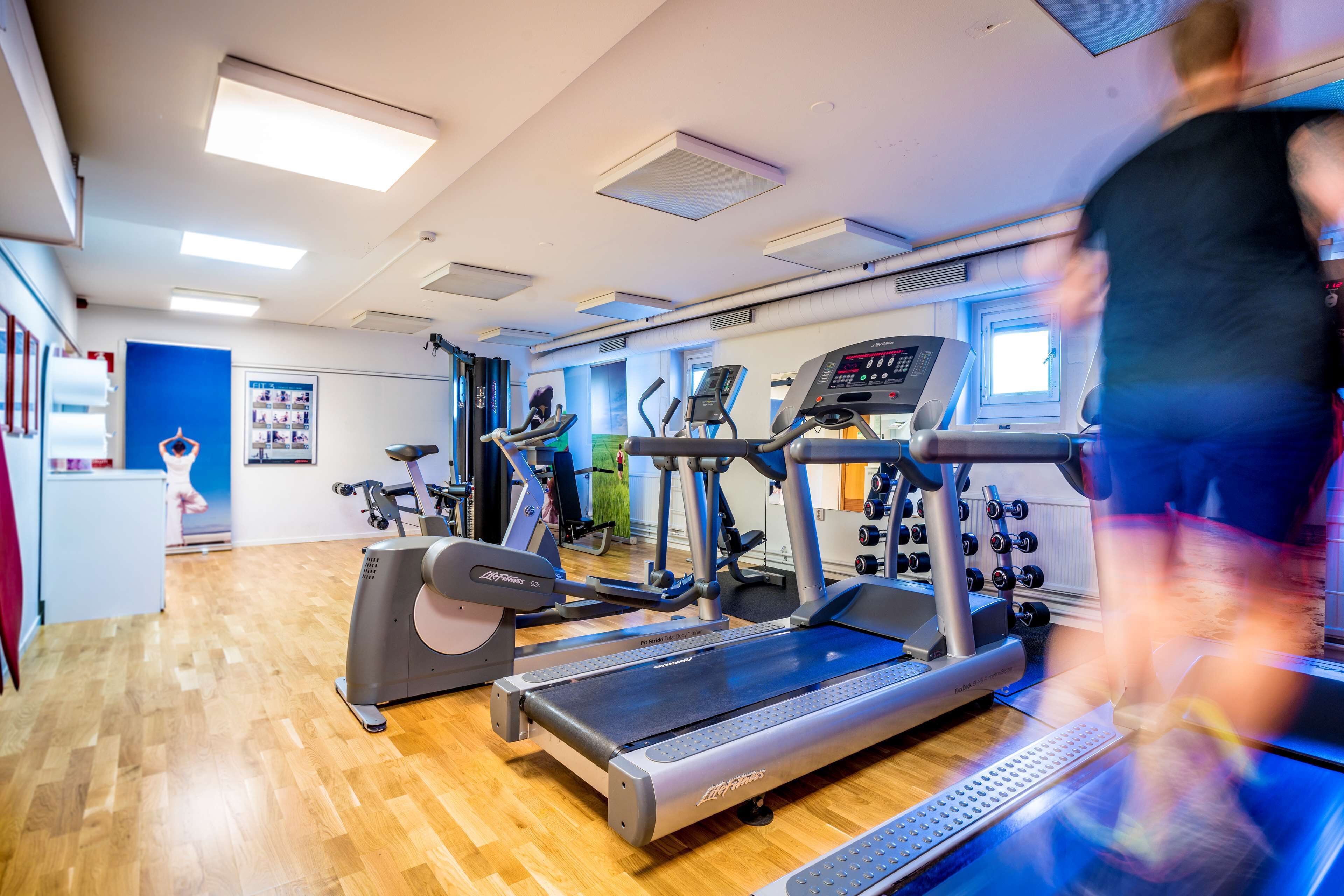 A gym with treadmills, elliptical machines, and a weight bench.
