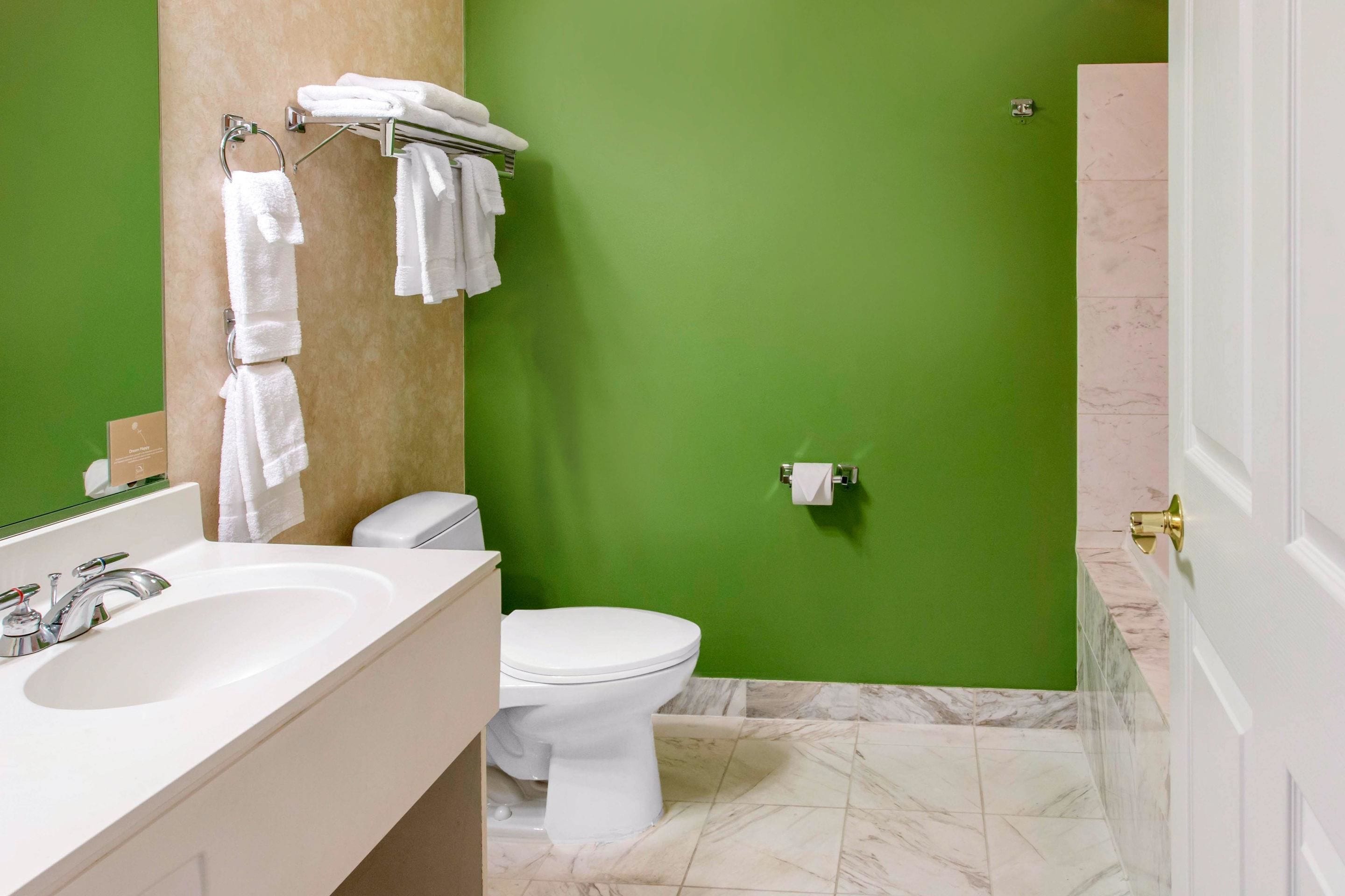 Une salle de bain avec un mur vert, des toilettes blanches et un lavabo avec un miroir.