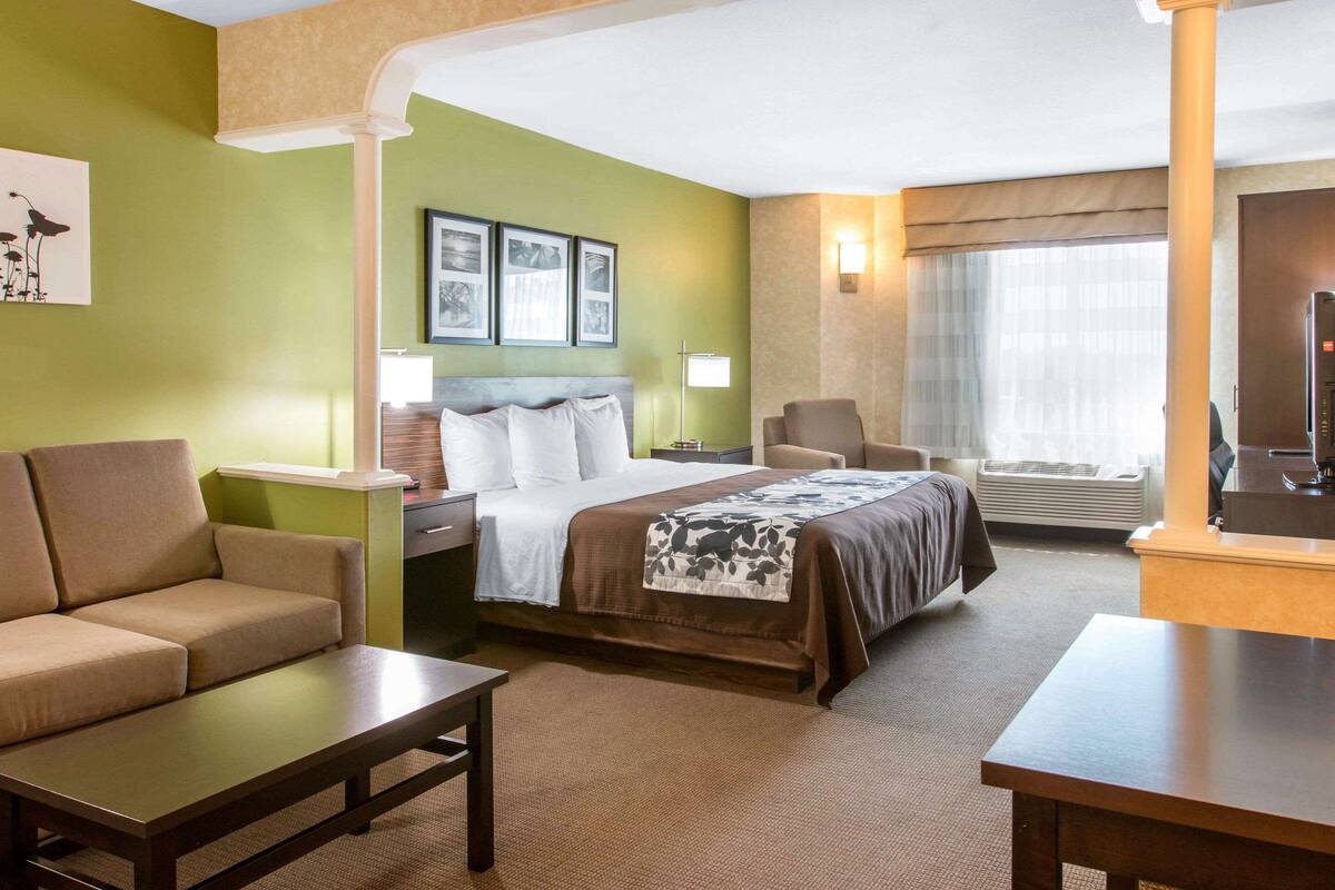 A hotel room with a bed, a sofa, a desk, and a TV.