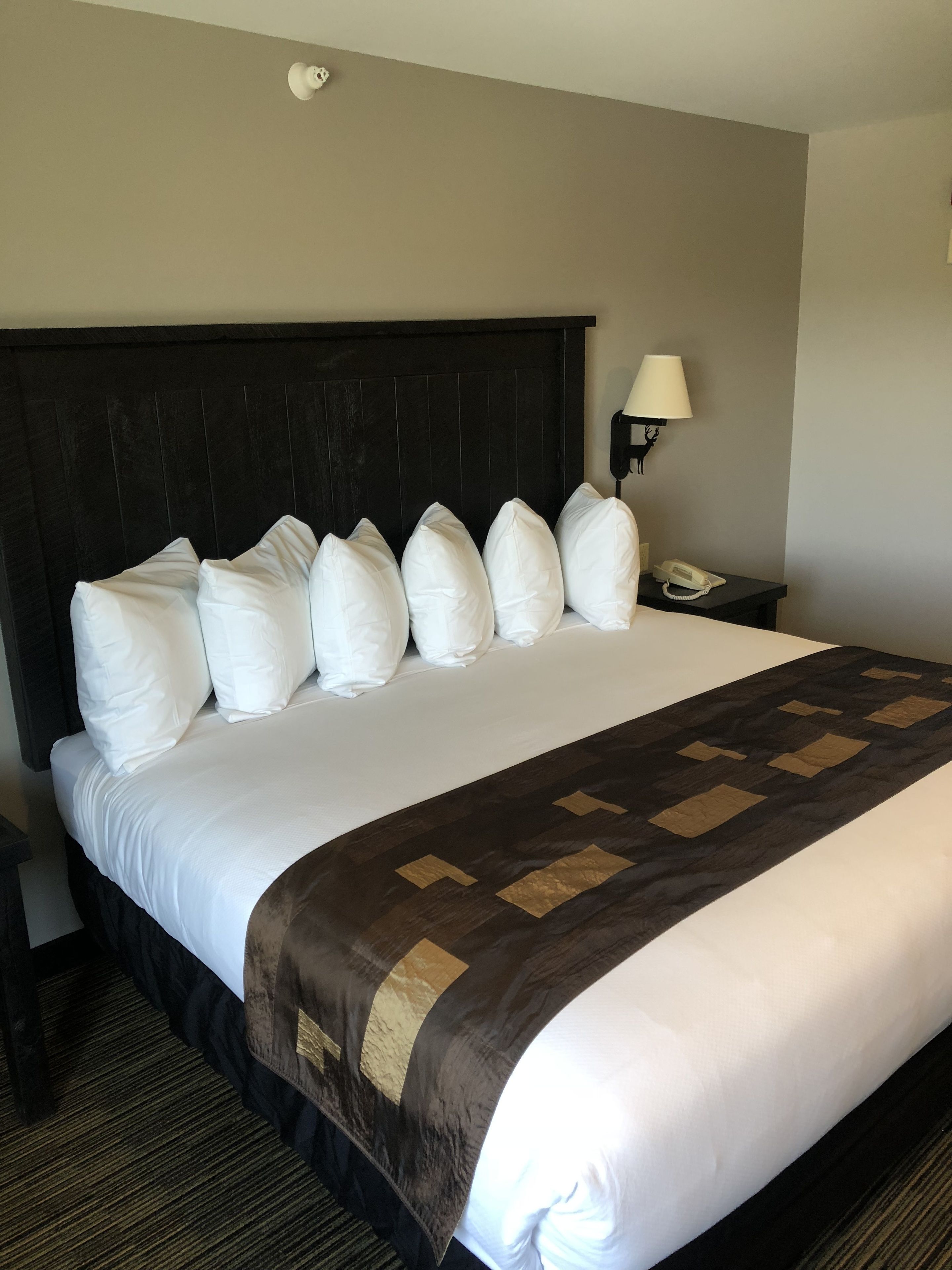 standard room, 1 king bed (one king bed grizzly building) | blackout curtains, iron/ironing board, free wifi, bed sheets