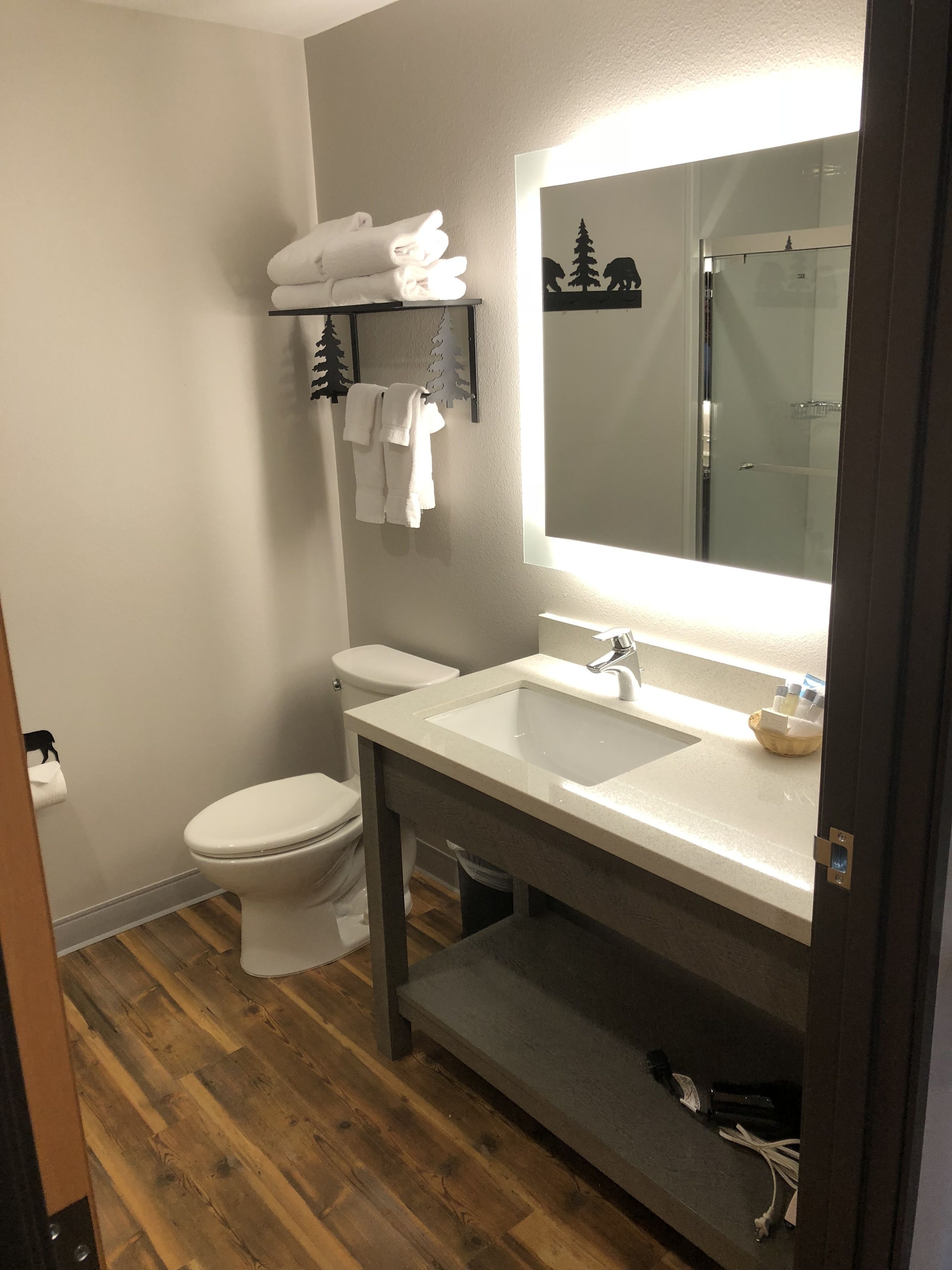 combined shower/bathtub, free toiletries, hair dryer, towels