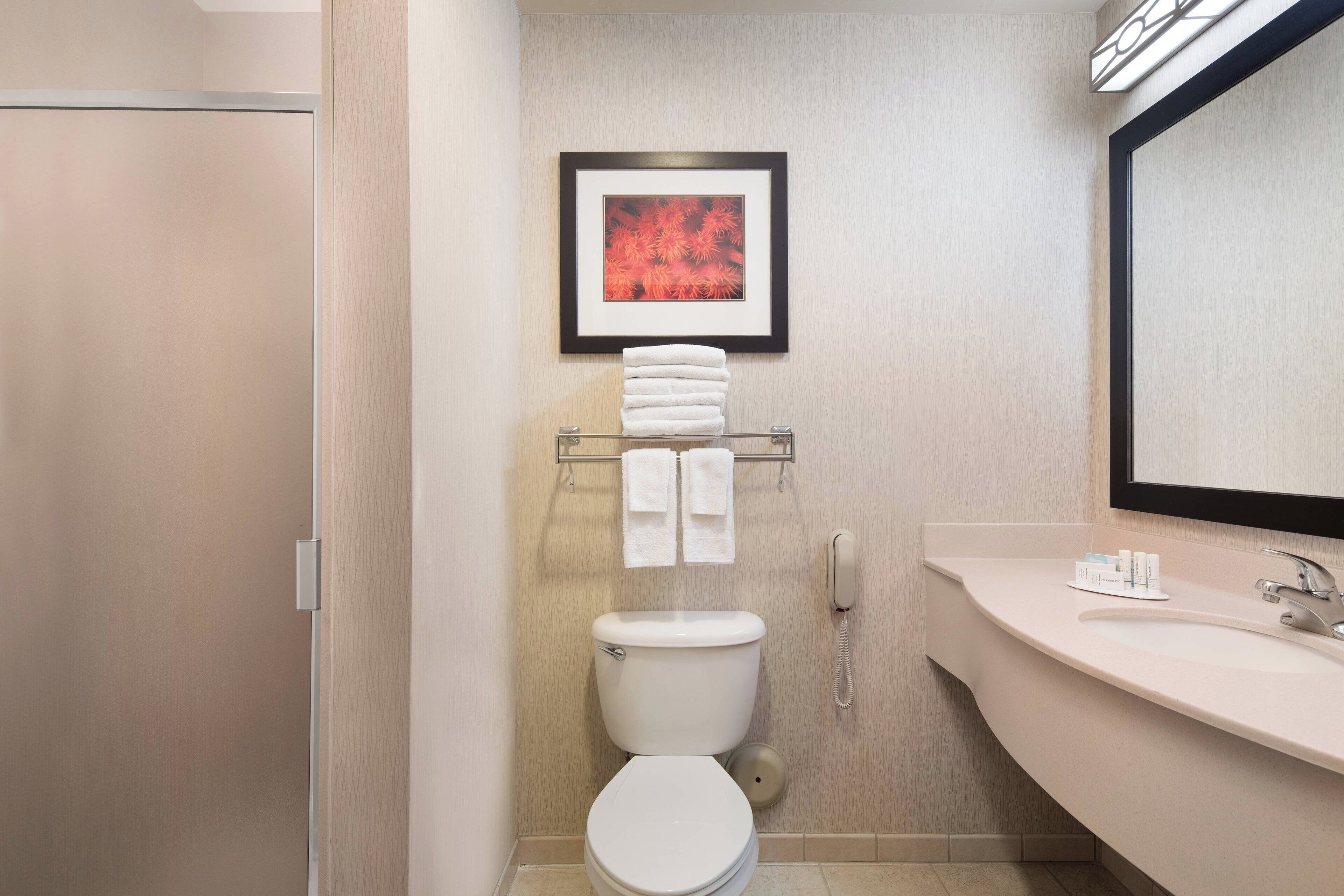 free toiletries, hair dryer, towels, soap