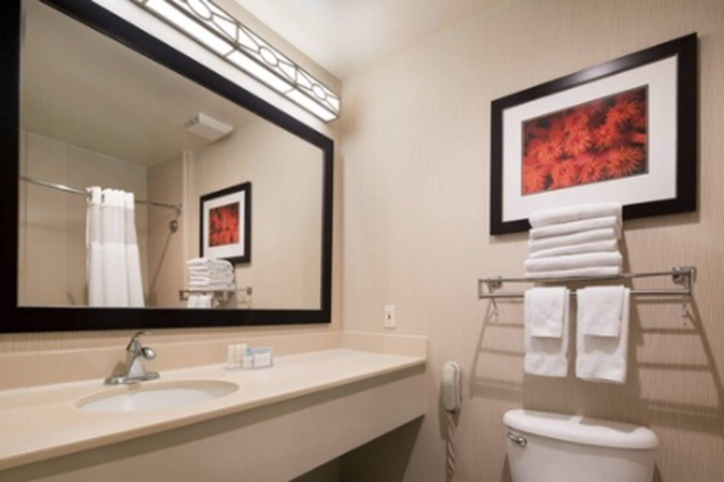 studio, multiple beds | bathroom | free toiletries, hair dryer, towels, soap