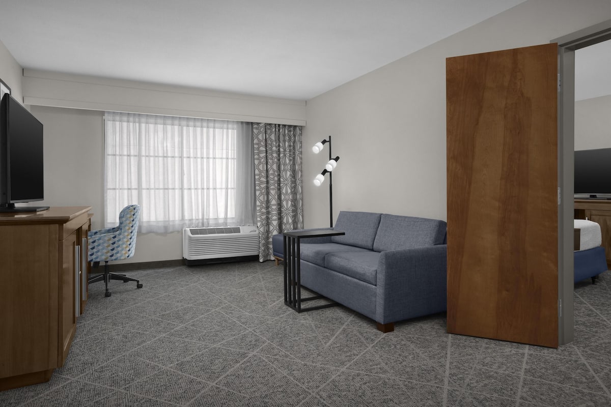 Suite, 1 King Bed, Accessible, Non Smoking (Roll-in Shower) | Living area | 32-inch LCD TV with premium channels, TV
