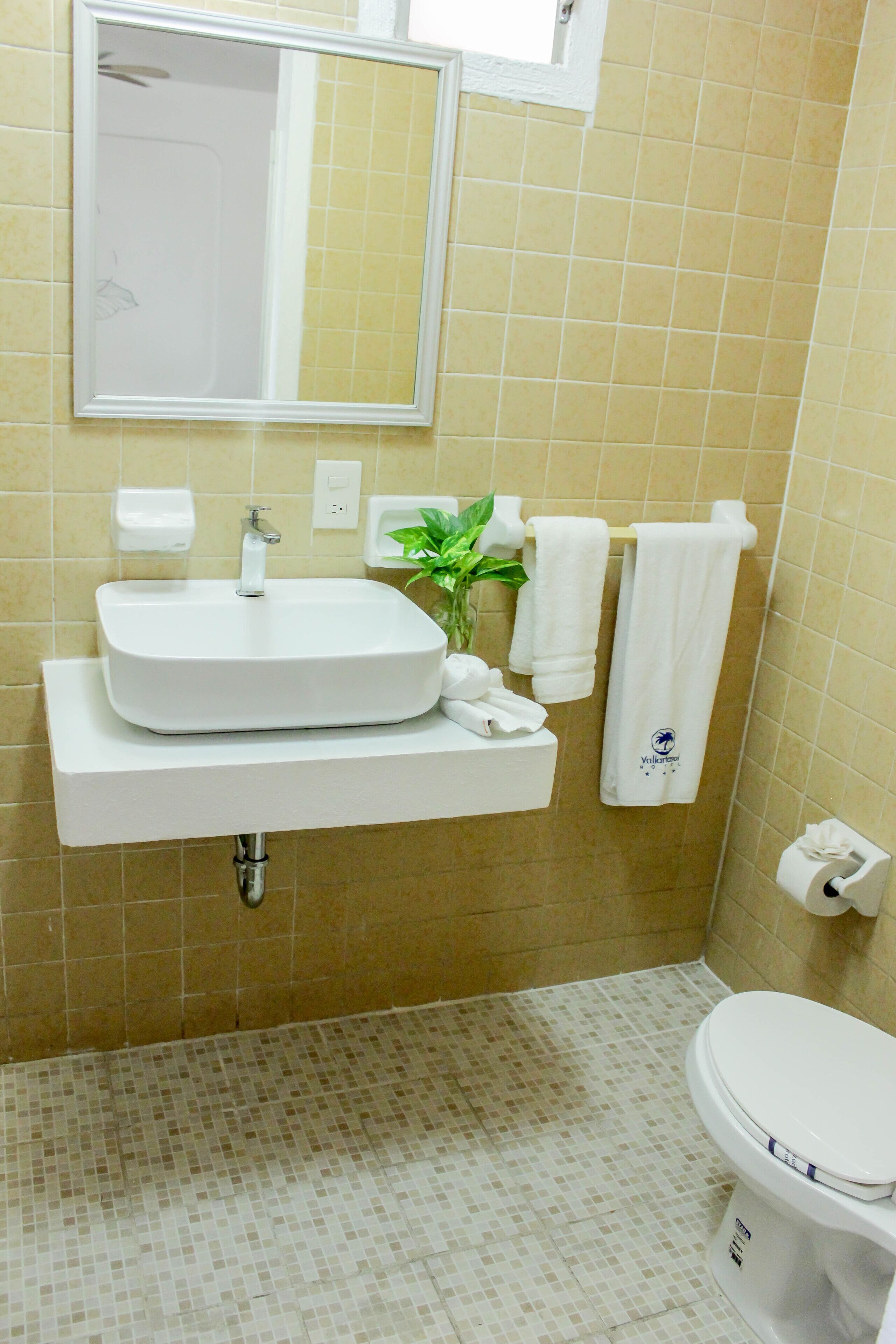 Foto - Vallartasol Hotel